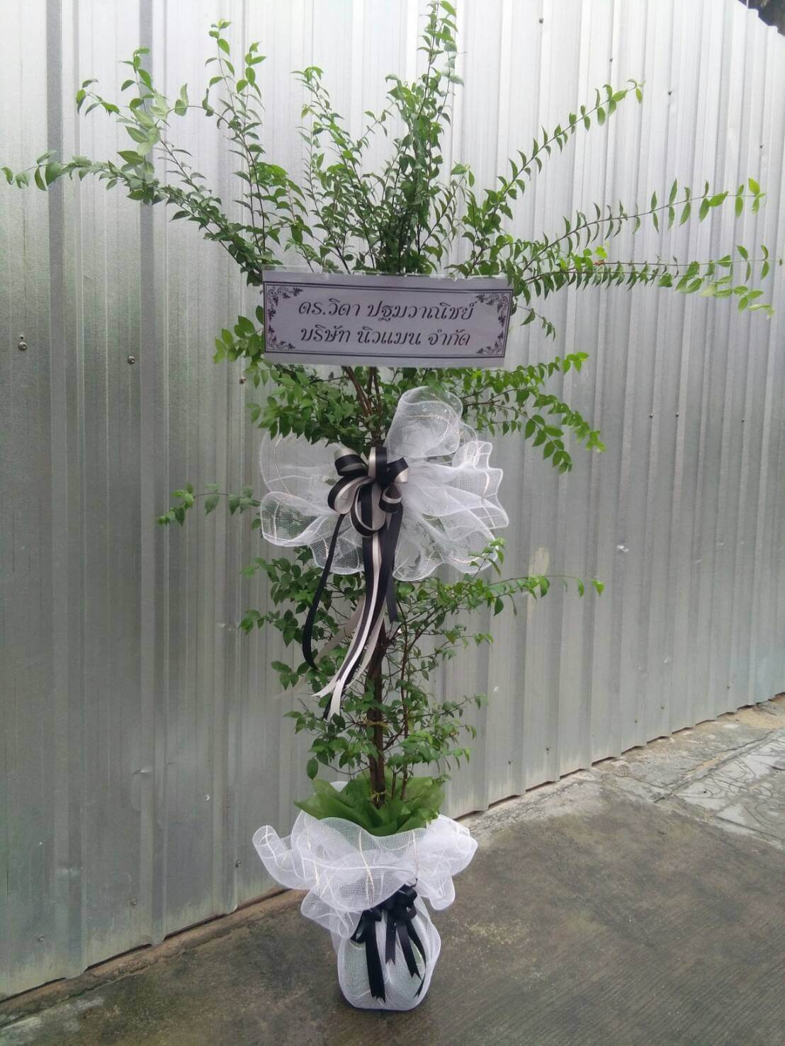พวงหรีดต้นไม้ WRT-3 พวงหรีดต้นไม้ WRT-3