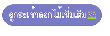 กระเช้าดอกไม้เพิ่มเติม จากร้านดอกไม้Story Of Flower