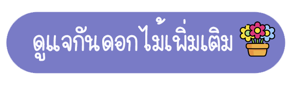 ดูแจกันดอกไม้เพิ่มเติม 